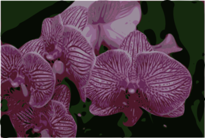 Bunch Of Orchids Clip Art